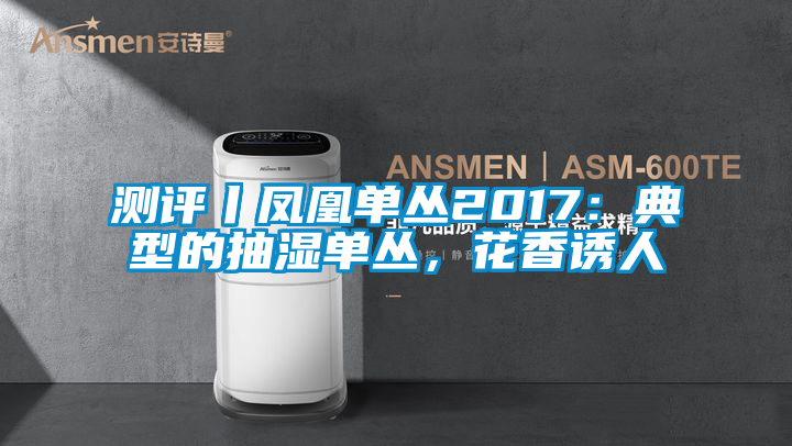 测评丨凤凰单丛2017：典型的抽湿单丛，花香诱人