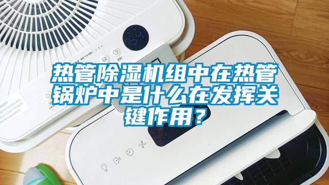 热管精品一区二区三区水蜜桃组中在热管锅炉中是什么在发挥关键作用？