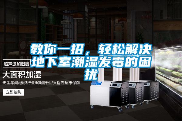 教你一招，轻松解决地下室潮湿发霉的困扰