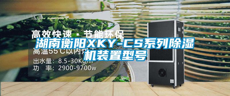 湖南衡阳XKY-CS系列精品一区二区三区水蜜桃装置型号