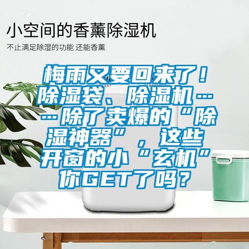 梅雨又要回来了！除湿袋、精品一区二区三区水蜜桃……除了卖爆的“除湿神器”，这些开窗的小“玄机”你GET了吗？