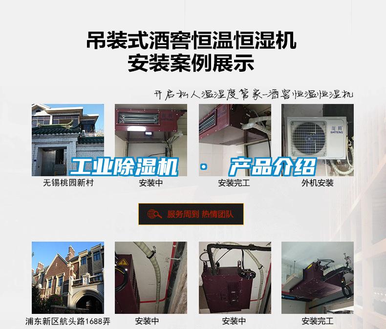 工业精品一区二区三区水蜜桃 · 产品介绍