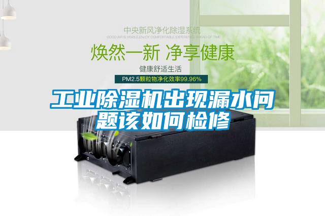 工业精品一区二区三区水蜜桃出现漏水问题该如何检修