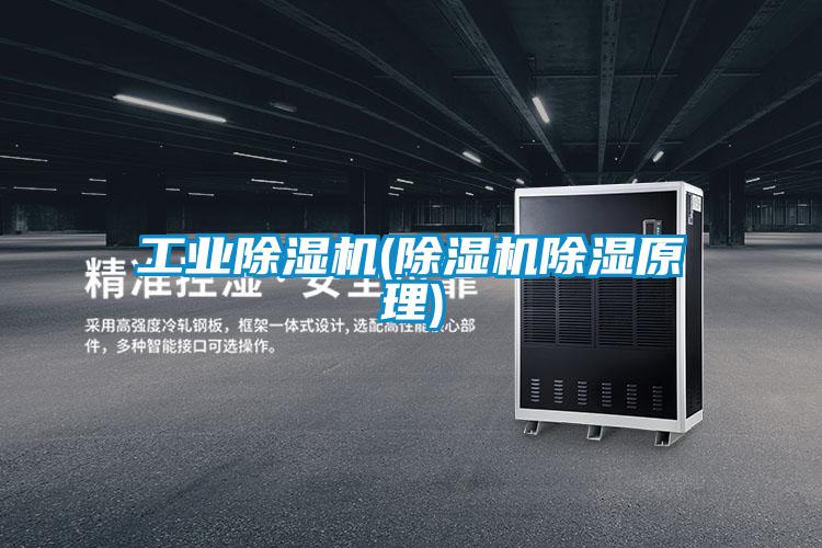 工业精品一区二区三区水蜜桃(精品一区二区三区水蜜桃除湿原理)