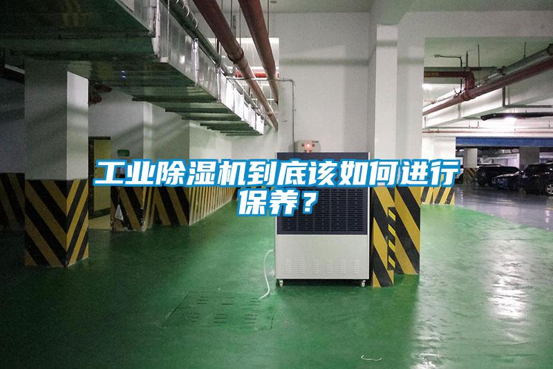 工业精品一区二区三区水蜜桃到底该如何进行保养？