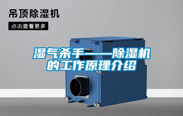 湿气杀手——精品一区二区三区水蜜桃的工作原理介绍