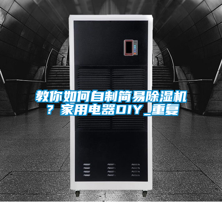 教你如何自制简易精品一区二区三区水蜜桃？家用电器DIY_重复