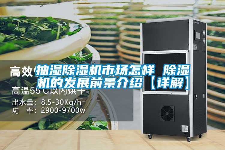 抽湿精品一区二区三区水蜜桃市场怎样 精品一区二区三区水蜜桃的发展前景介绍【详解】