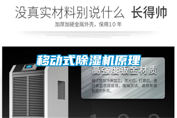 移动式精品一区二区三区水蜜桃原理