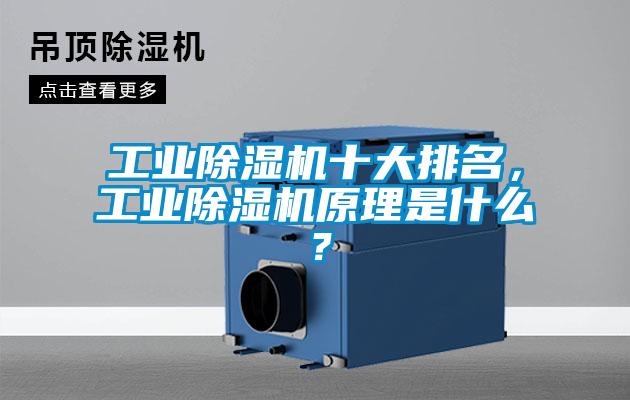 工业精品一区二区三区水蜜桃十大排名，工业精品一区二区三区水蜜桃原理是什么？