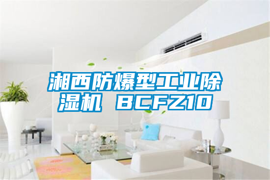 湘西防爆型工业精品一区二区三区水蜜桃 BCFZ10