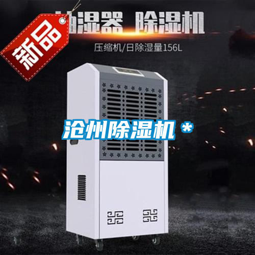 沧州精品一区二区三区水蜜桃＊