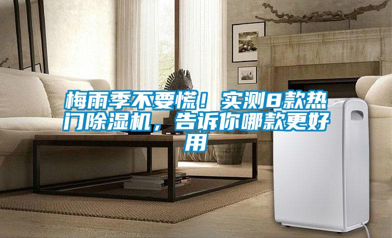 梅雨季不要慌！实测8款热门精品一区二区三区水蜜桃，告诉你哪款更好用