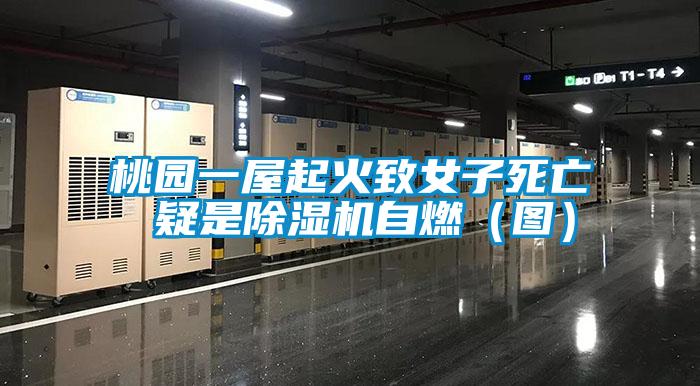 桃园一屋起火致女子死亡 疑是精品一区二区三区水蜜桃自燃(图)