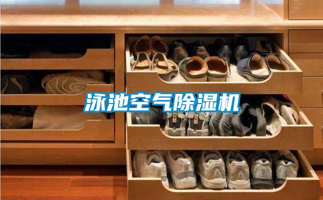 泳池空气精品一区二区三区水蜜桃