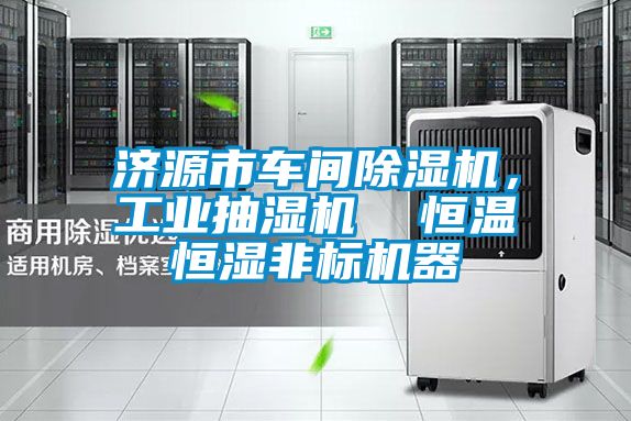 济源市车间精品一区二区三区水蜜桃，工业抽湿机  恒温恒湿非标机器