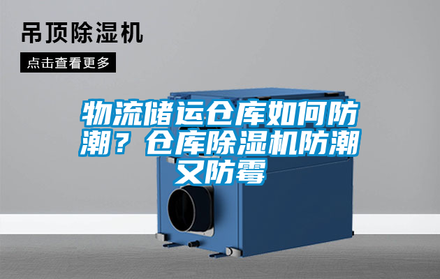 物流储运仓库如何防潮？仓库精品一区二区三区水蜜桃防潮又防霉