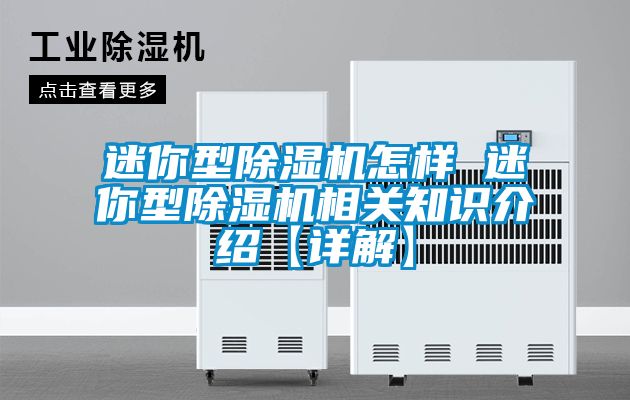 迷你型精品一区二区三区水蜜桃怎样 迷你型精品一区二区三区水蜜桃相关知识介绍【详解】