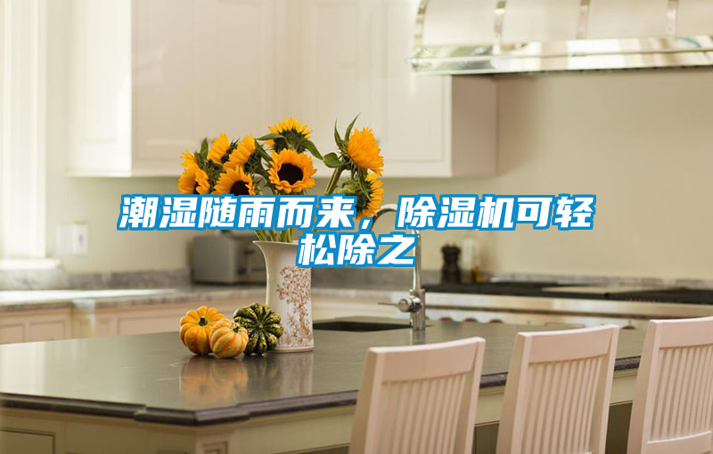 潮湿随雨而来，精品一区二区三区水蜜桃可轻松除之