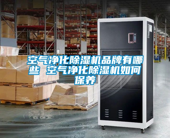 空气净化精品一区二区三区水蜜桃品牌有哪些 空气净化精品一区二区三区水蜜桃如何保养