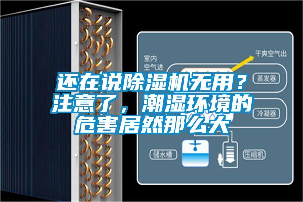 还在说精品一区二区三区水蜜桃无用？注意了，潮湿环境的危害居然那么大