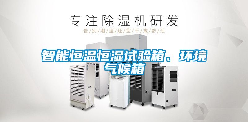 智能恒温恒湿试验箱、环境气候箱