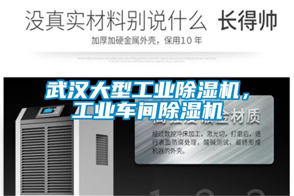 武汉大型工业精品一区二区三区水蜜桃，工业车间精品一区二区三区水蜜桃