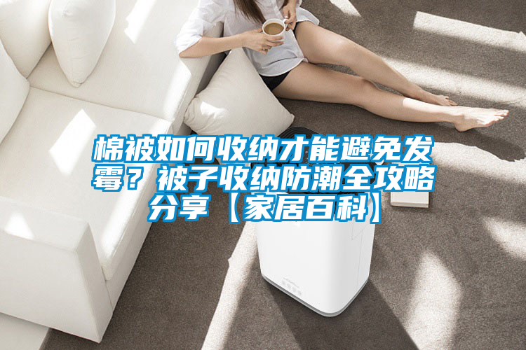 棉被如何收纳才能避免发霉？被子收纳防潮全攻略分享【家居百科】