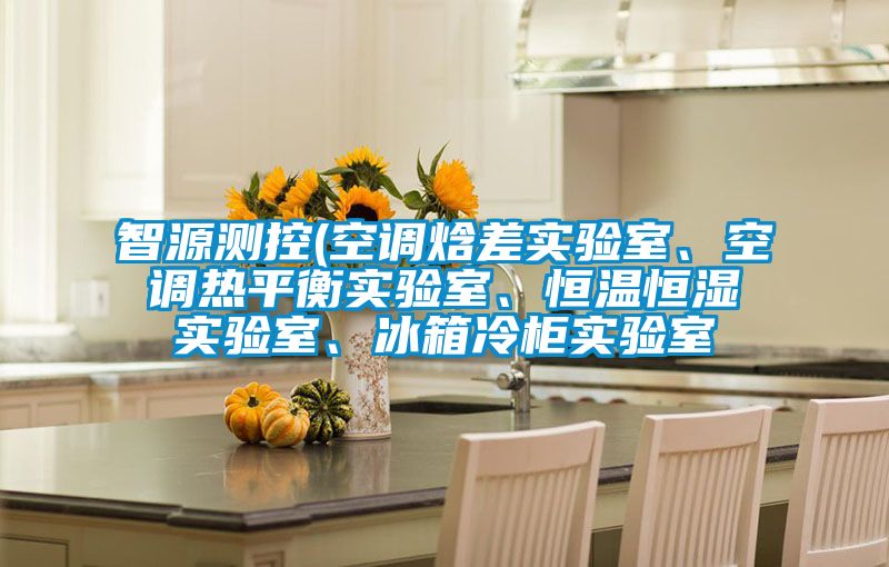 智源测控(空调焓差实验室、空调热平衡实验室、恒温恒湿实验室、冰箱冷柜实验室