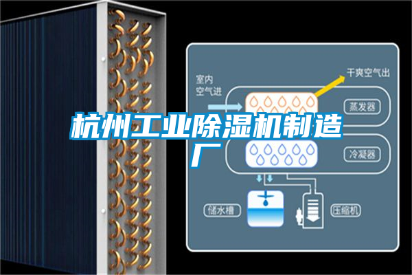 杭州工业精品一区二区三区水蜜桃制造厂