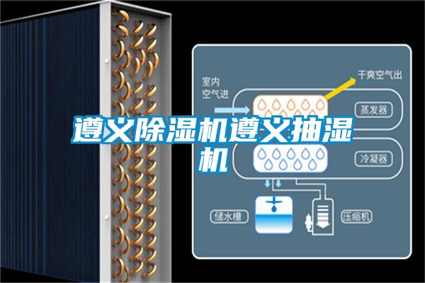 遵义精品一区二区三区水蜜桃遵义抽湿机