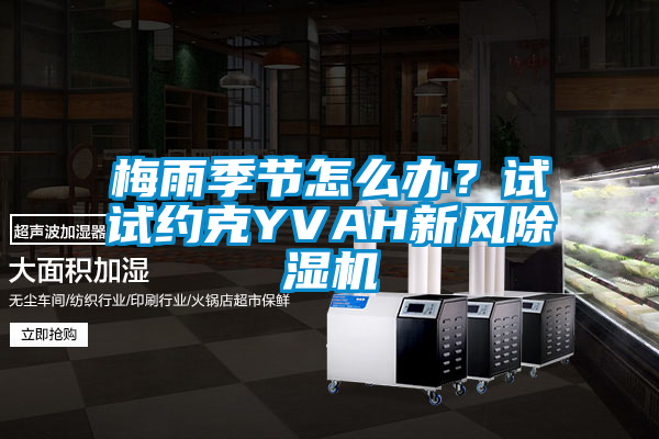 梅雨季节怎么办？试试约克YVAH新风精品一区二区三区水蜜桃