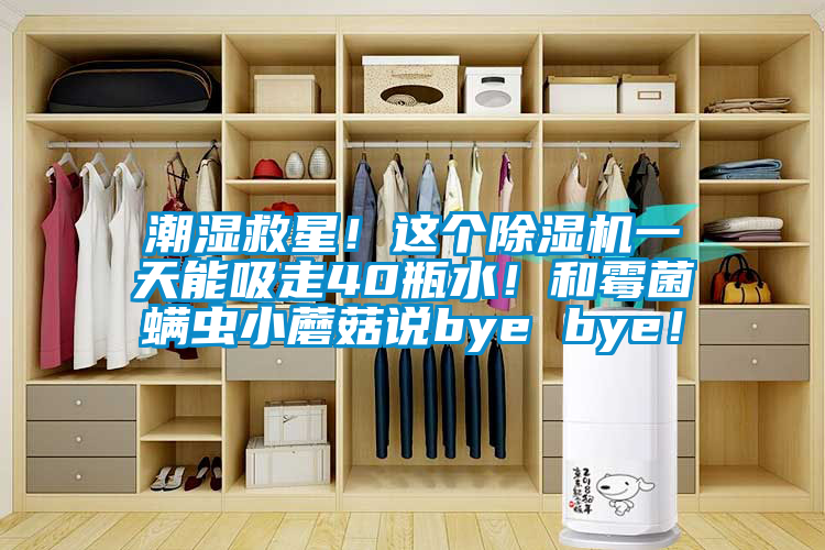 潮湿救星！这个精品一区二区三区水蜜桃一天能吸走40瓶水！和霉菌螨虫小蘑菇说bye bye！