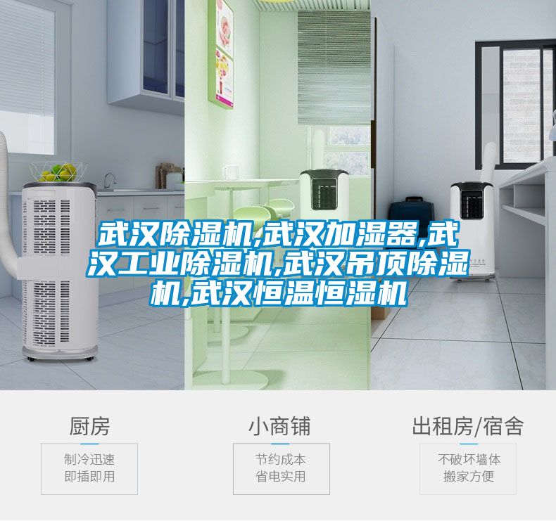 武汉精品一区二区三区水蜜桃,武汉加湿器,武汉工业精品一区二区三区水蜜桃,武汉吊顶精品一区二区三区水蜜桃,武汉恒温恒湿机