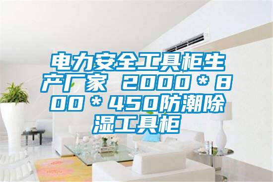 电力安全工具柜生产厂家 2000*800*450防潮除湿工具柜