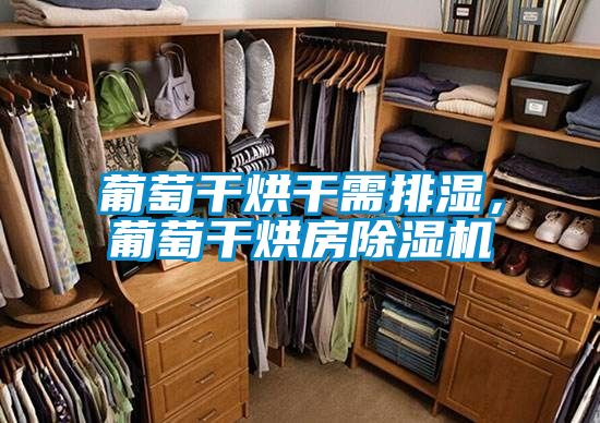 葡萄干烘干需排湿，葡萄干烘房精品一区二区三区水蜜桃