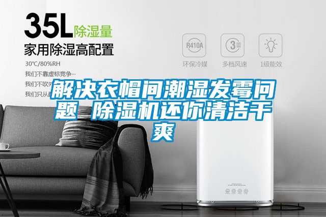 解决衣帽间潮湿发霉问题 精品一区二区三区水蜜桃还你清洁干爽