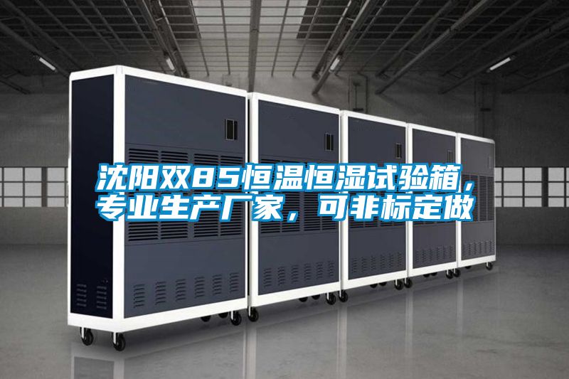 沈阳双85恒温恒湿试验箱，专业生产厂家，可非标定做