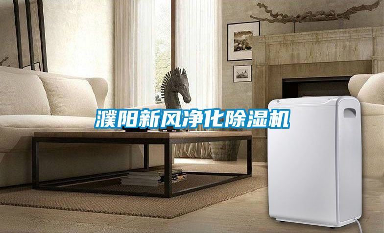 濮阳新风净化精品一区二区三区水蜜桃