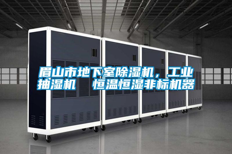 眉山市地下室精品一区二区三区水蜜桃，工业抽湿机  恒温恒湿非标机器