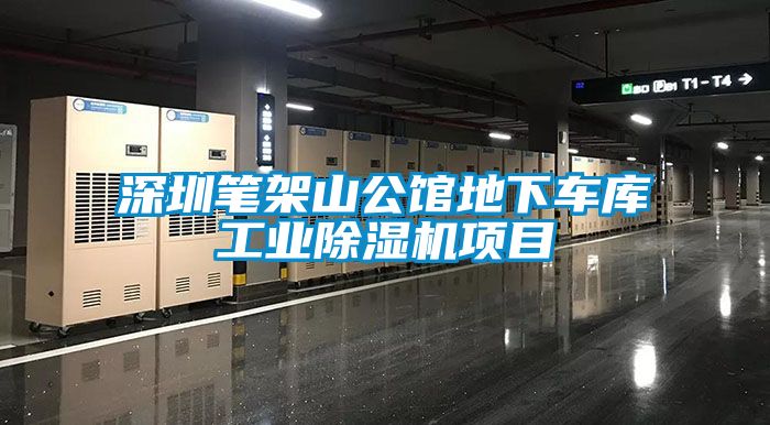 深圳笔架山公馆地下车库工业精品一区二区三区水蜜桃项目