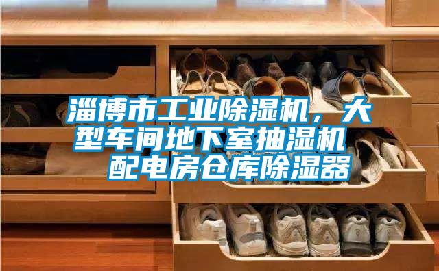 淄博市工业精品一区二区三区水蜜桃，大型车间地下室抽湿机  配电房仓库除湿器