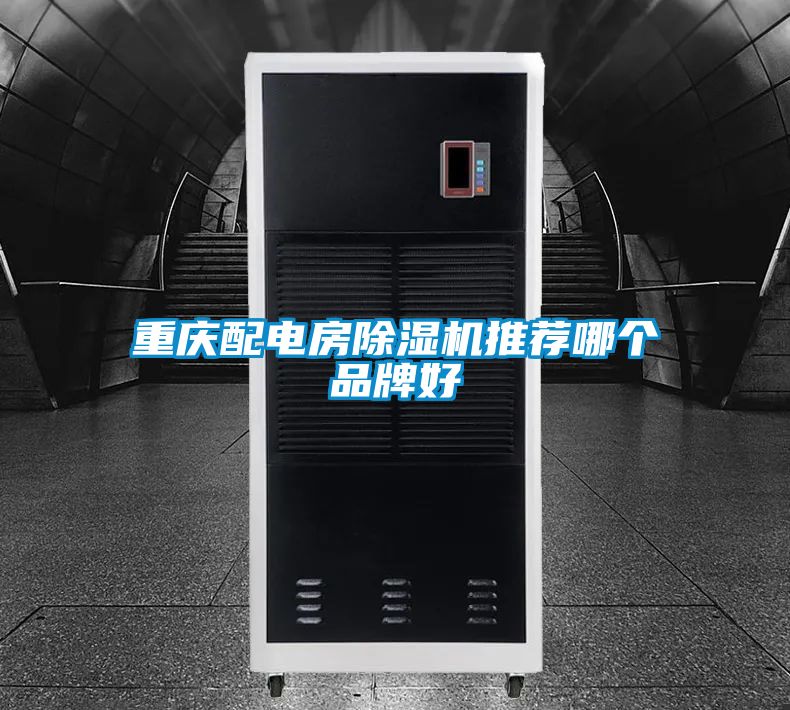 重庆配电房精品一区二区三区水蜜桃推荐哪个品牌好