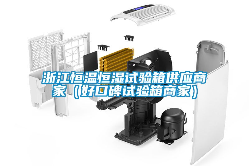 浙江恒温恒湿试验箱供应商家(好口碑试验箱商家)