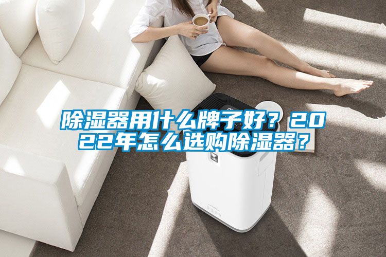 除湿器用什么牌子好？2022年怎么选购除湿器？