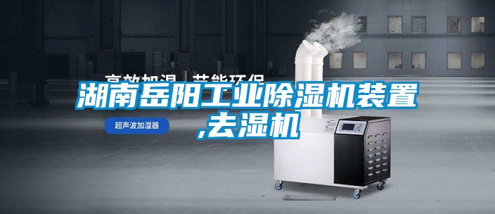 湖南岳阳工业精品一区二区三区水蜜桃装置,去湿机