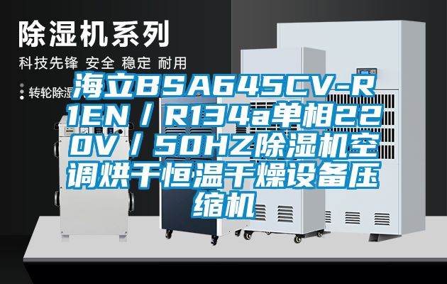 海立BSA645CV-R1EN/R134a单相220V/50HZ精品一区二区三区水蜜桃空调烘干恒温干燥设备压缩机