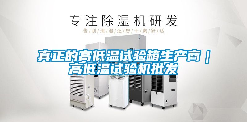真正的高低温试验箱生产商|高低温试验机批发
