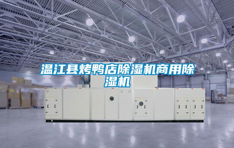 温江县烤鸭店精品一区二区三区水蜜桃商用精品一区二区三区水蜜桃