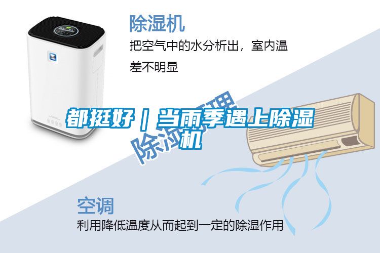 都挺好|当雨季遇上精品一区二区三区水蜜桃